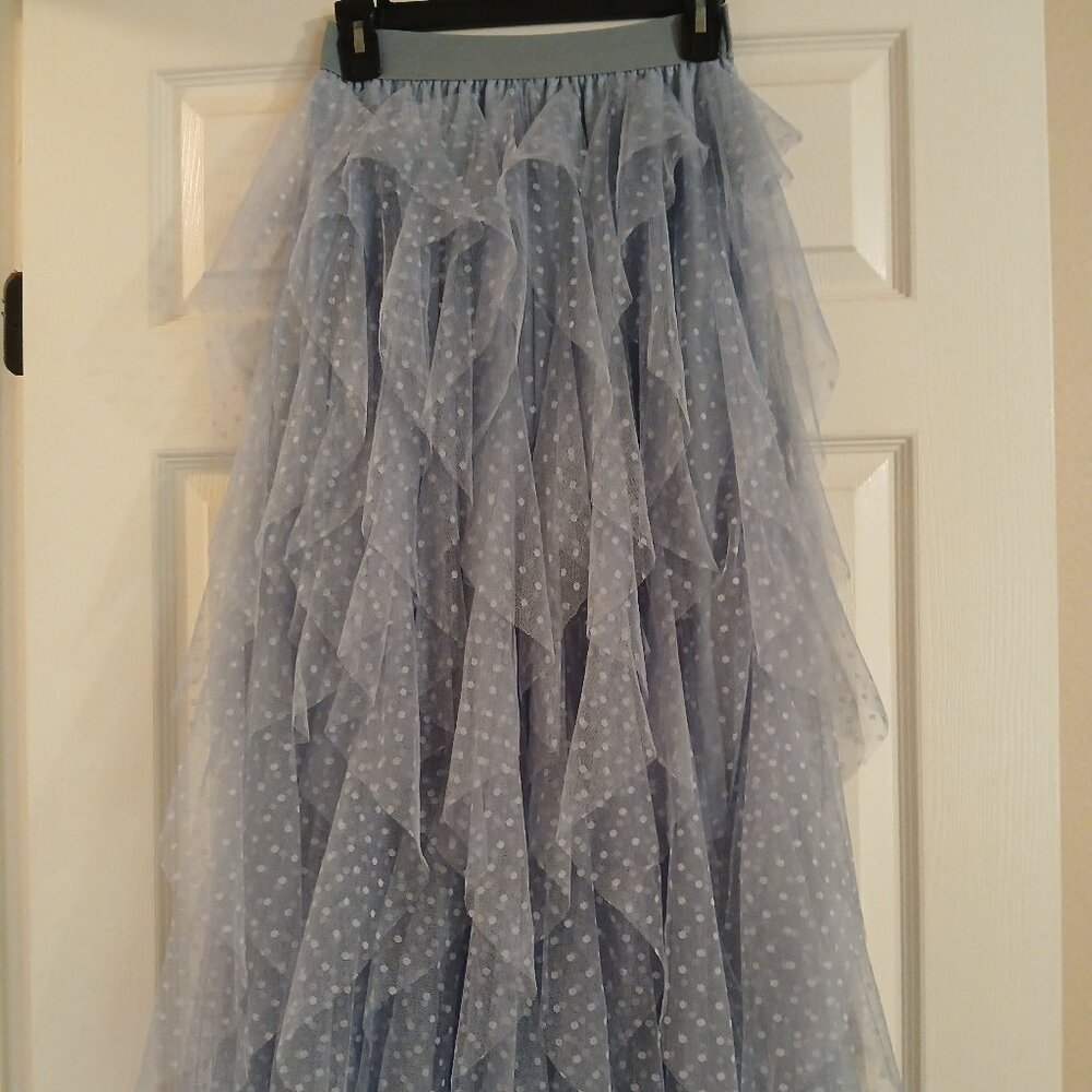 Baby blue tulle dotted Swiss skirt